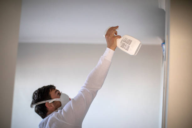 Professional Mold Removal in Chilton, WI
