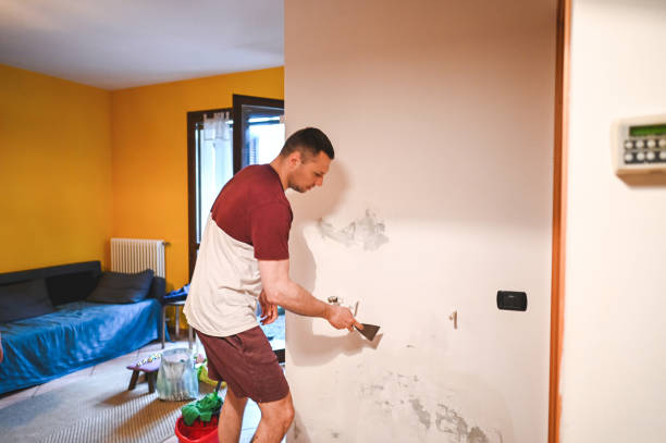Best Residential Mold Removal  in Chilton, WI